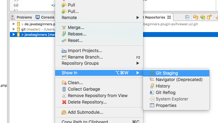 Git Repository View